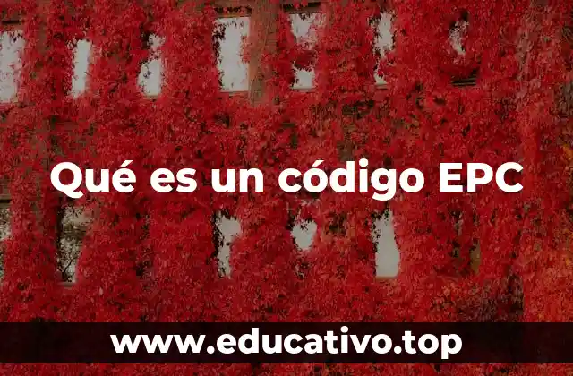 Qué es un código EPC