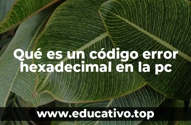 Qué es un código error hexadecimal en la pc