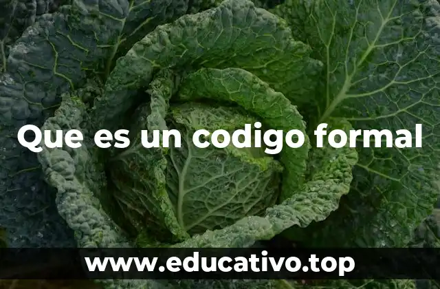 Que es un codigo formal