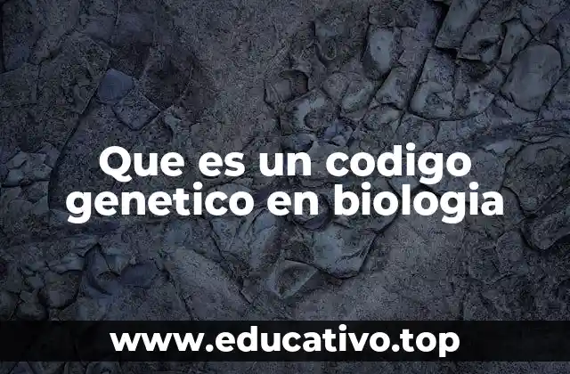 Que es un codigo genetico en biologia