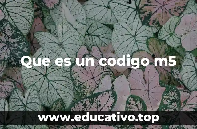 Que es un codigo m5