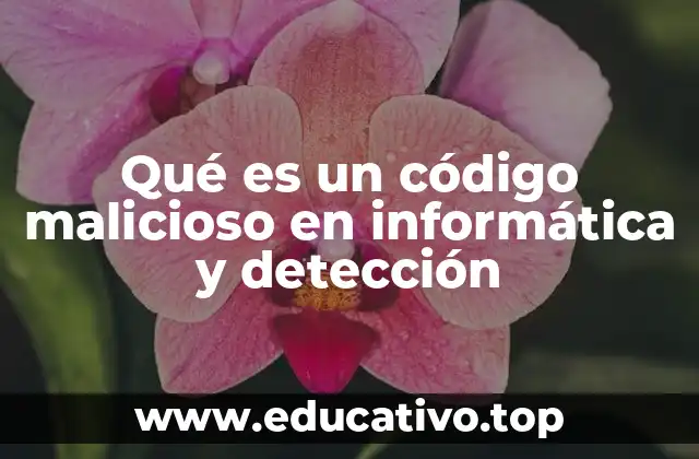 Qué es un código malicioso en informática y detección
