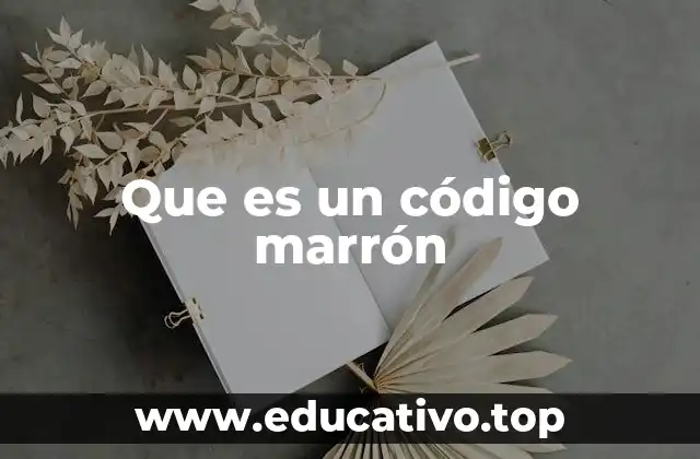 Que es un código marrón