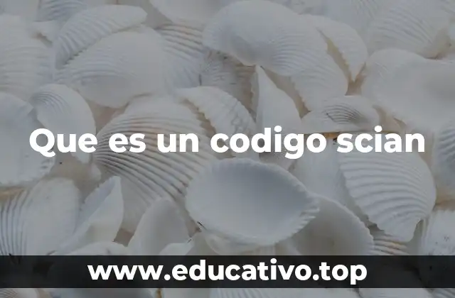 Que es un codigo scian