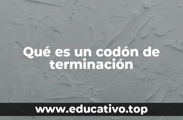 Qué es un codón de terminación