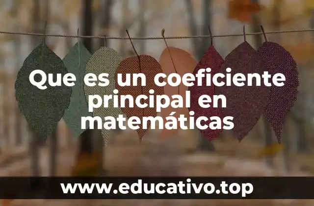 Que es un coeficiente principal en matemáticas