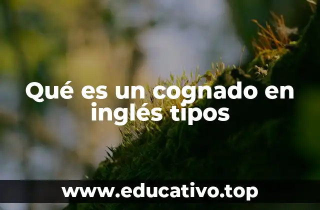 Qué es un cognado en inglés tipos