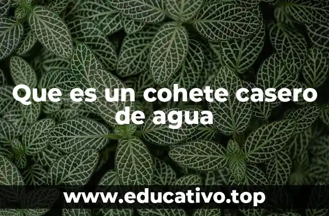 Que es un cohete casero de agua