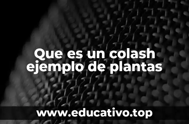 Que es un colash ejemplo de plantas