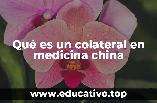 Qué es un colateral en medicina china