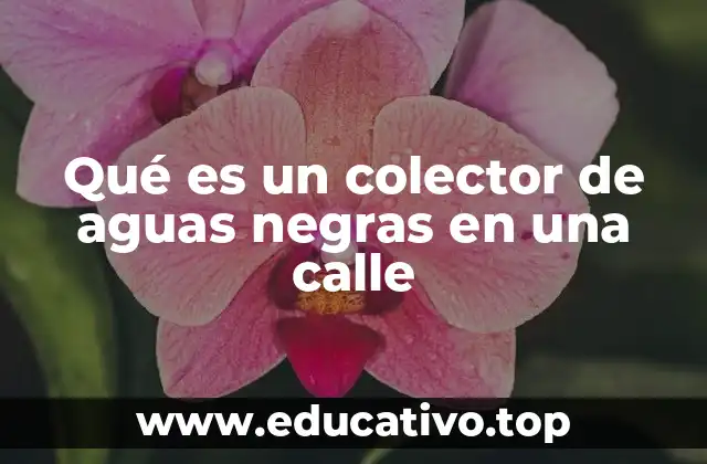Qué es un colector de aguas negras en una calle