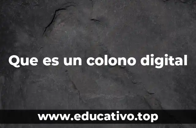 Que es un colono digital