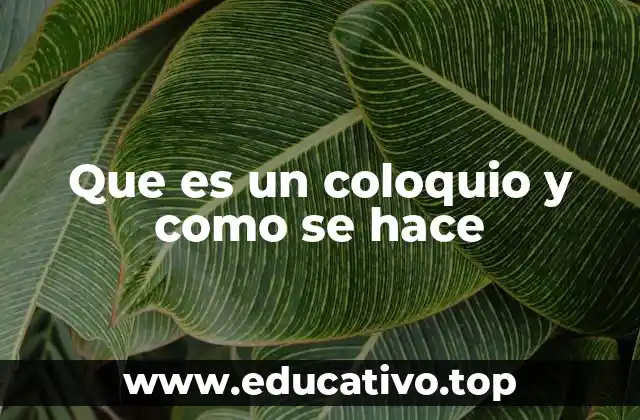 Que es un coloquio y como se hace