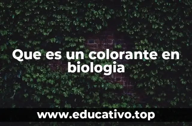 Que es un colorante en biologia