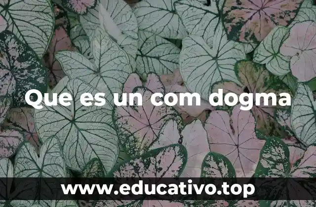 Que es un com dogma