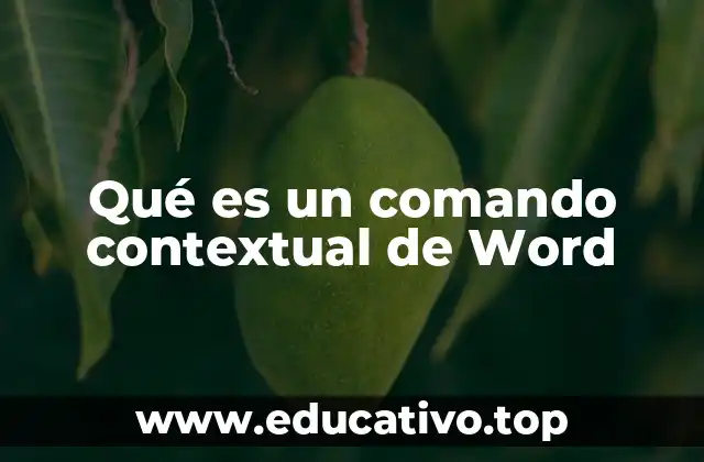 Qué es un comando contextual de Word