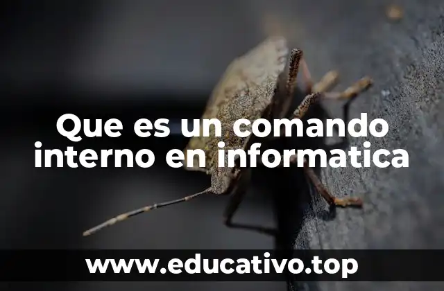 Que es un comando interno en informatica