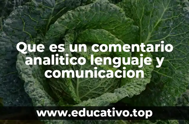 La importancia del análisis en la comprensión del lenguaje