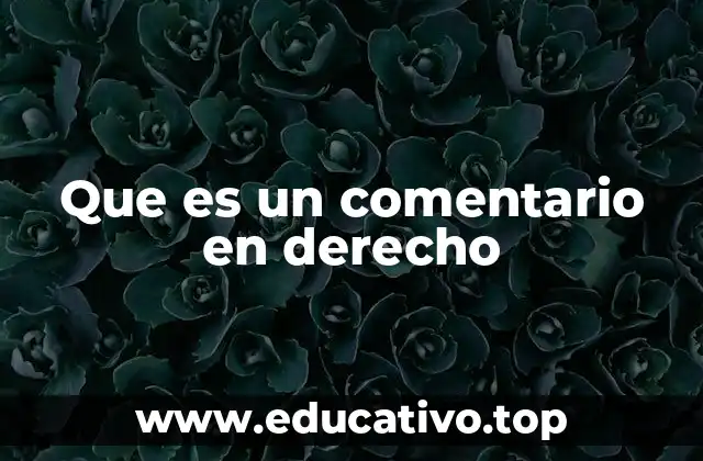 Que es un comentario en derecho