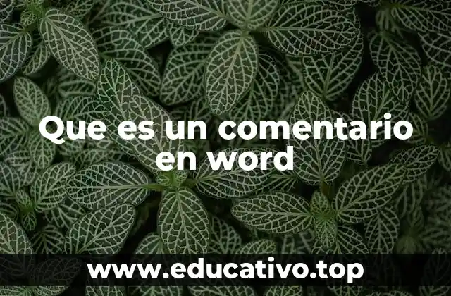 Que es un comentario en word