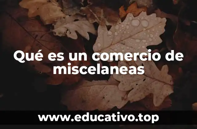 Qué es un comercio de miscelaneas