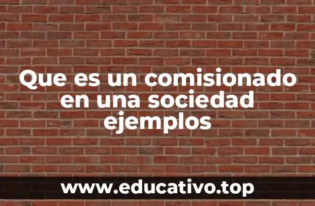 Que es un comisionado en una sociedad ejemplos