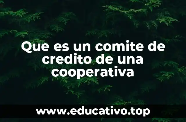 Que es un comite de credito de una cooperativa