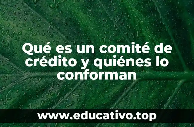 Qué es un comité de crédito y quiénes lo conforman