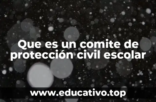 Que es un comite de protección civil escolar