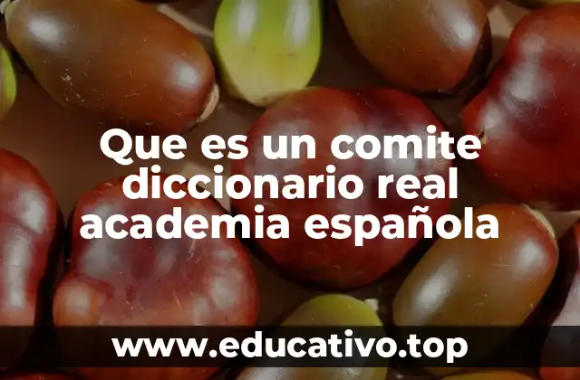 Que es un comite diccionario real academia española