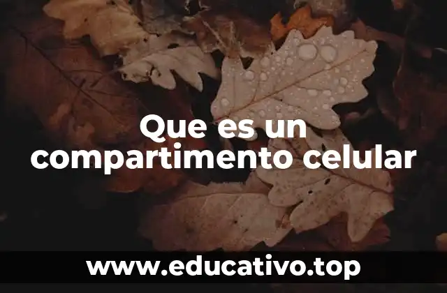 Que es un compartimento celular