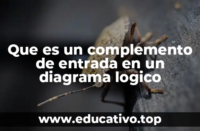 Que es un complemento de entrada en un diagrama logico