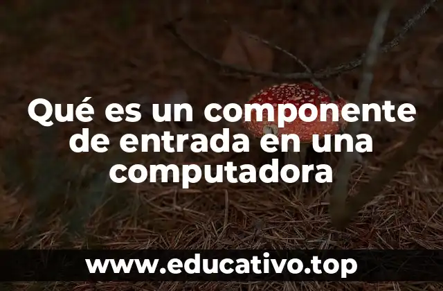 Qué es un componente de entrada en una computadora