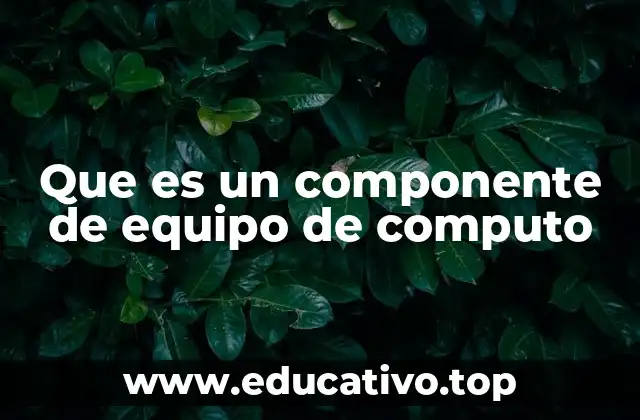 Que es un componente de equipo de computo