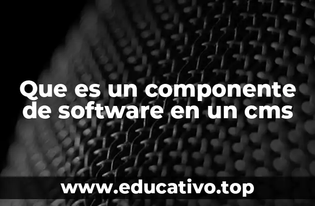 Que es un componente de software en un cms