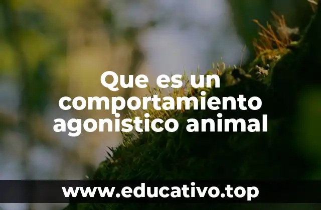 Que es un comportamiento agonistico animal