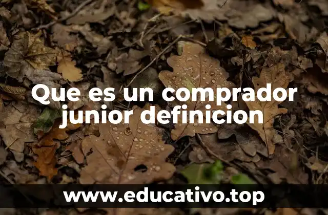 Que es un comprador junior definicion