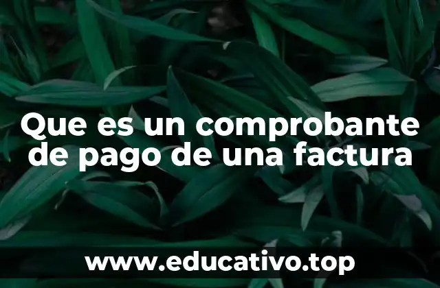 La relación entre el pago y la factura en el proceso comercial