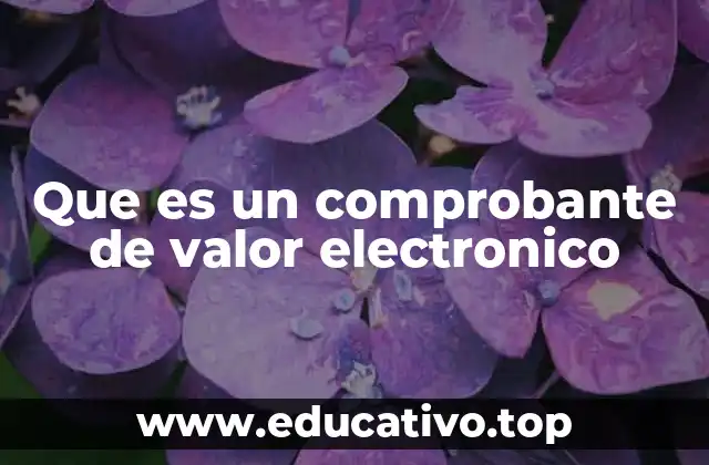 Que es un comprobante de valor electronico