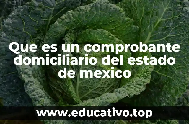 Que es un comprobante domiciliario del estado de mexico