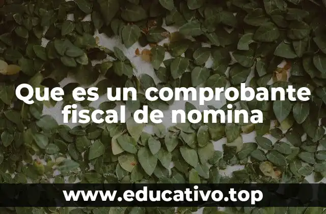 Que es un comprobante fiscal de nomina