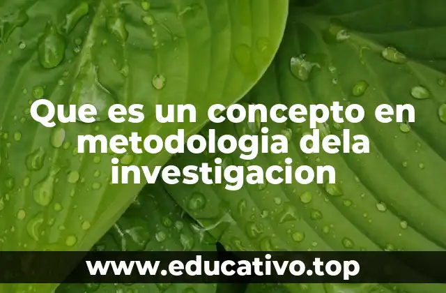 Que es un concepto en metodologia dela investigacion