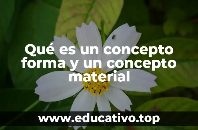 Qué es un concepto forma y un concepto material
