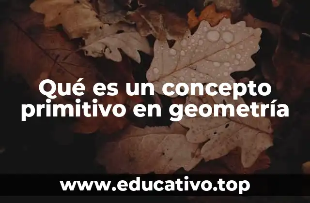 Qué es un concepto primitivo en geometría
