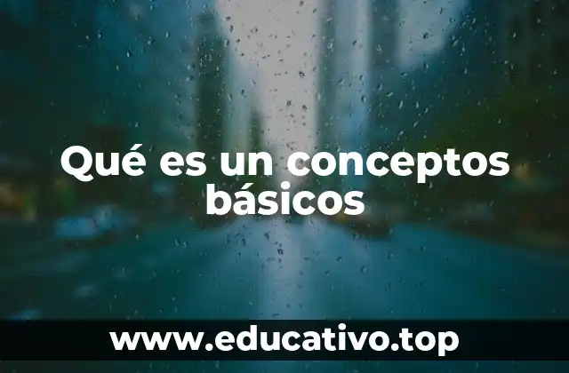 Qué es un conceptos básicos