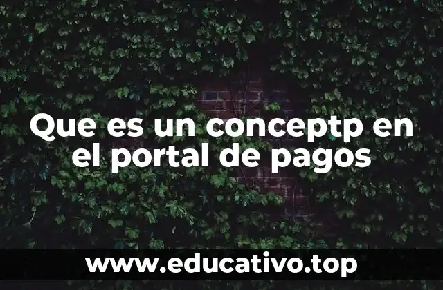 Que es un conceptp en el portal de pagos