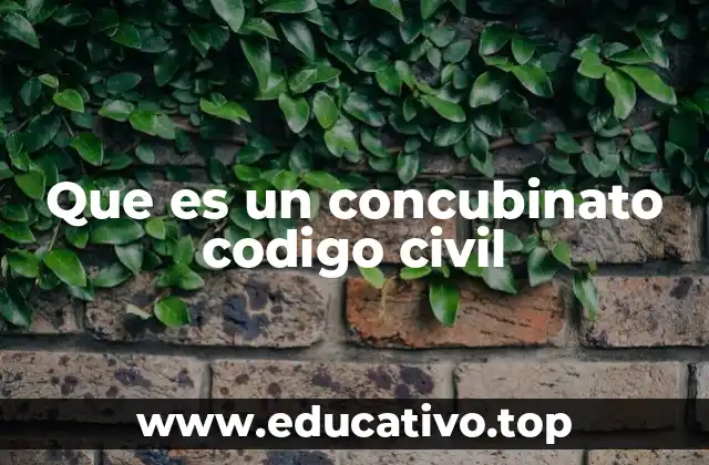 Que es un concubinato codigo civil