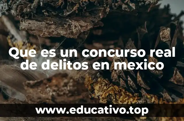 La importancia del concurso de delitos en el sistema legal mexicano