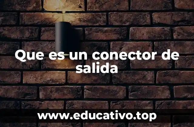 Que es un conector de salida