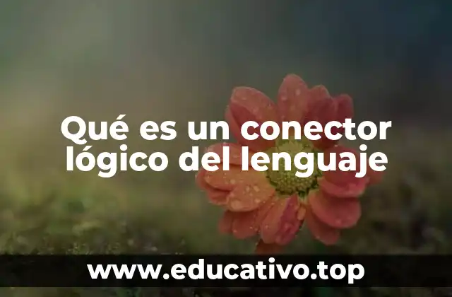Qué es un conector lógico del lenguaje